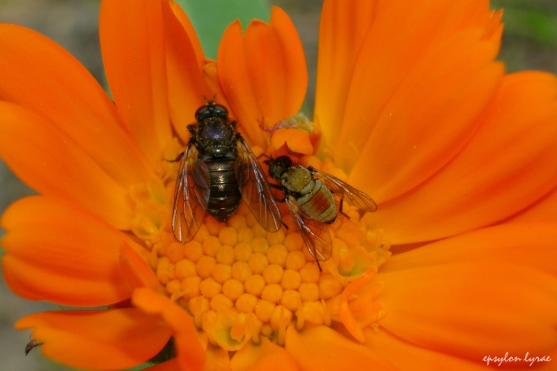 Dobbiamo stare vicini vicini....