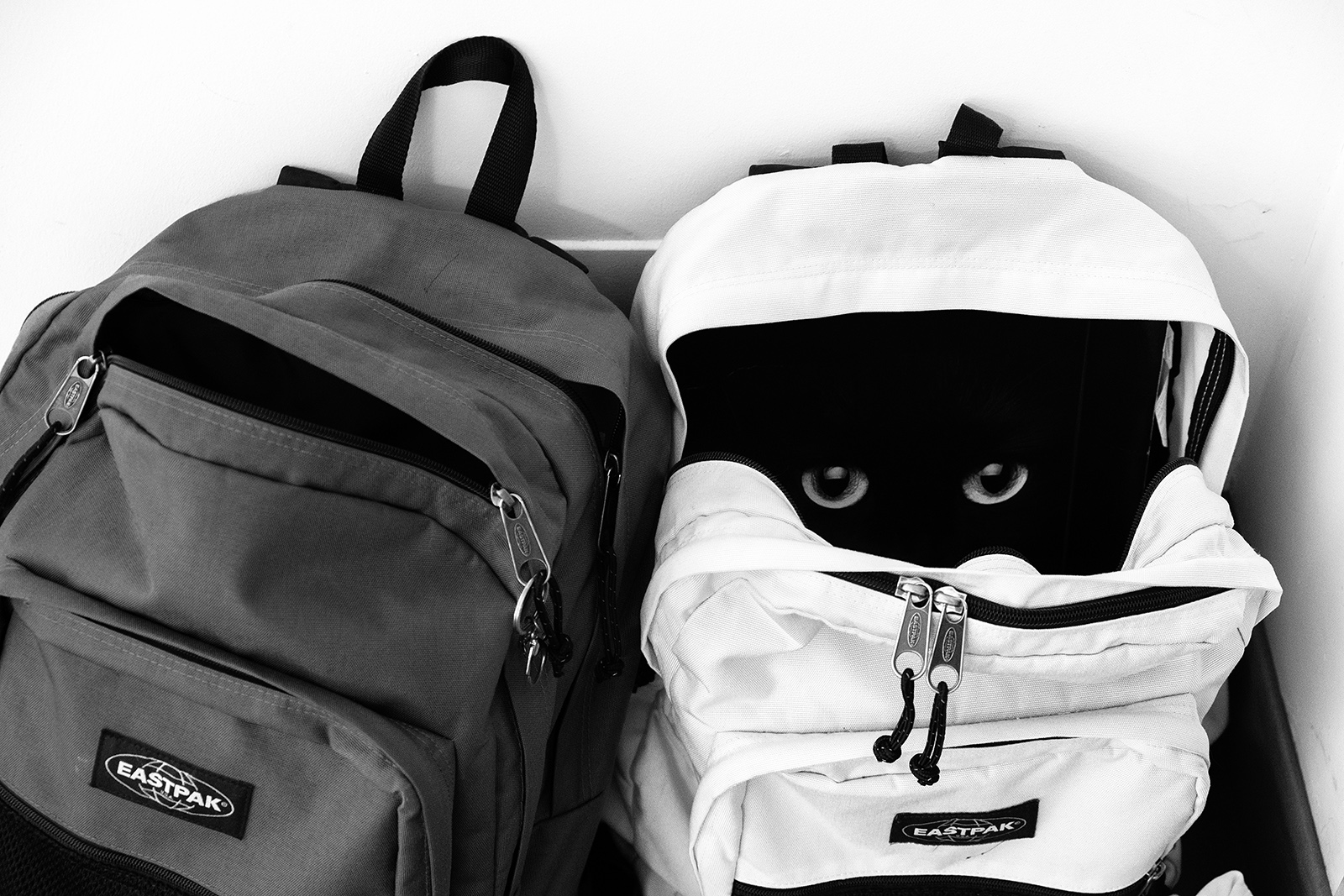 ecco dov'era finito!!