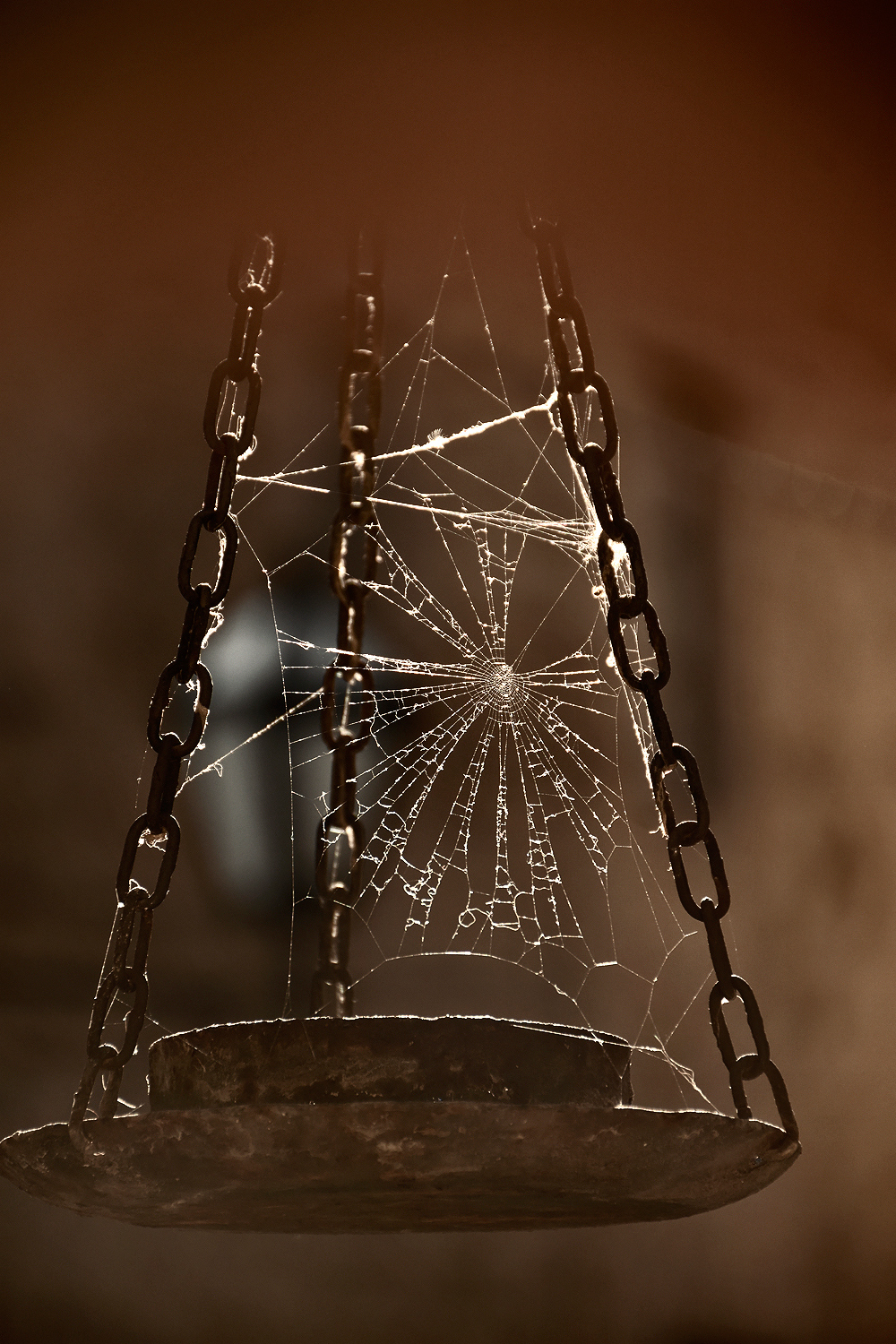 Ragnatela su vecchio lume