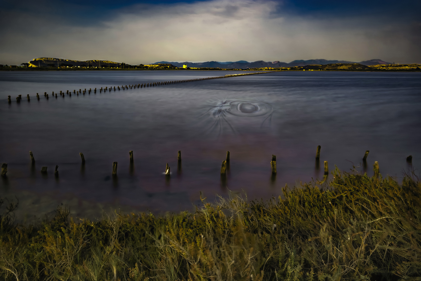 l'urlo di Molentargius