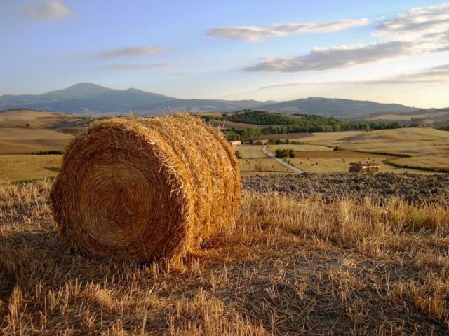 Campagna di Pienza