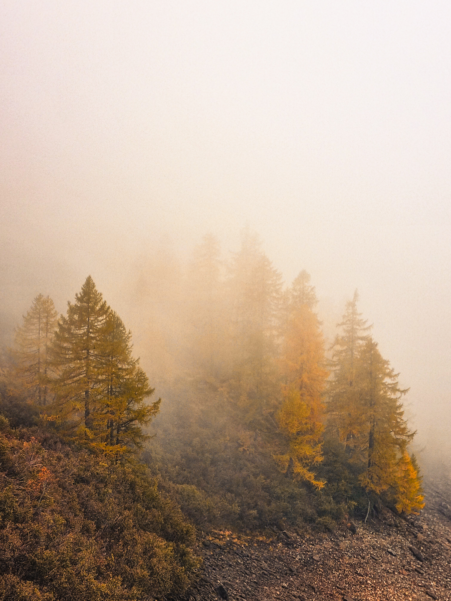 Paesaggi "fortemente" autunnali