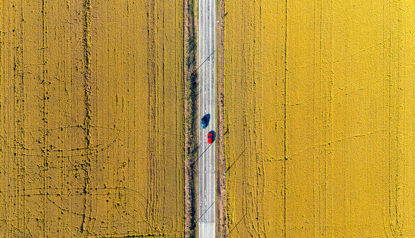 Rosso e blu nel giallo