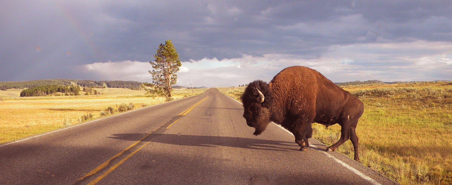 ...prego, passi pure...