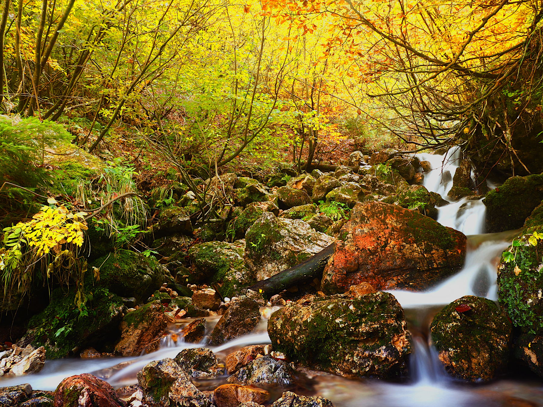 Torrente nel bosco autunnale