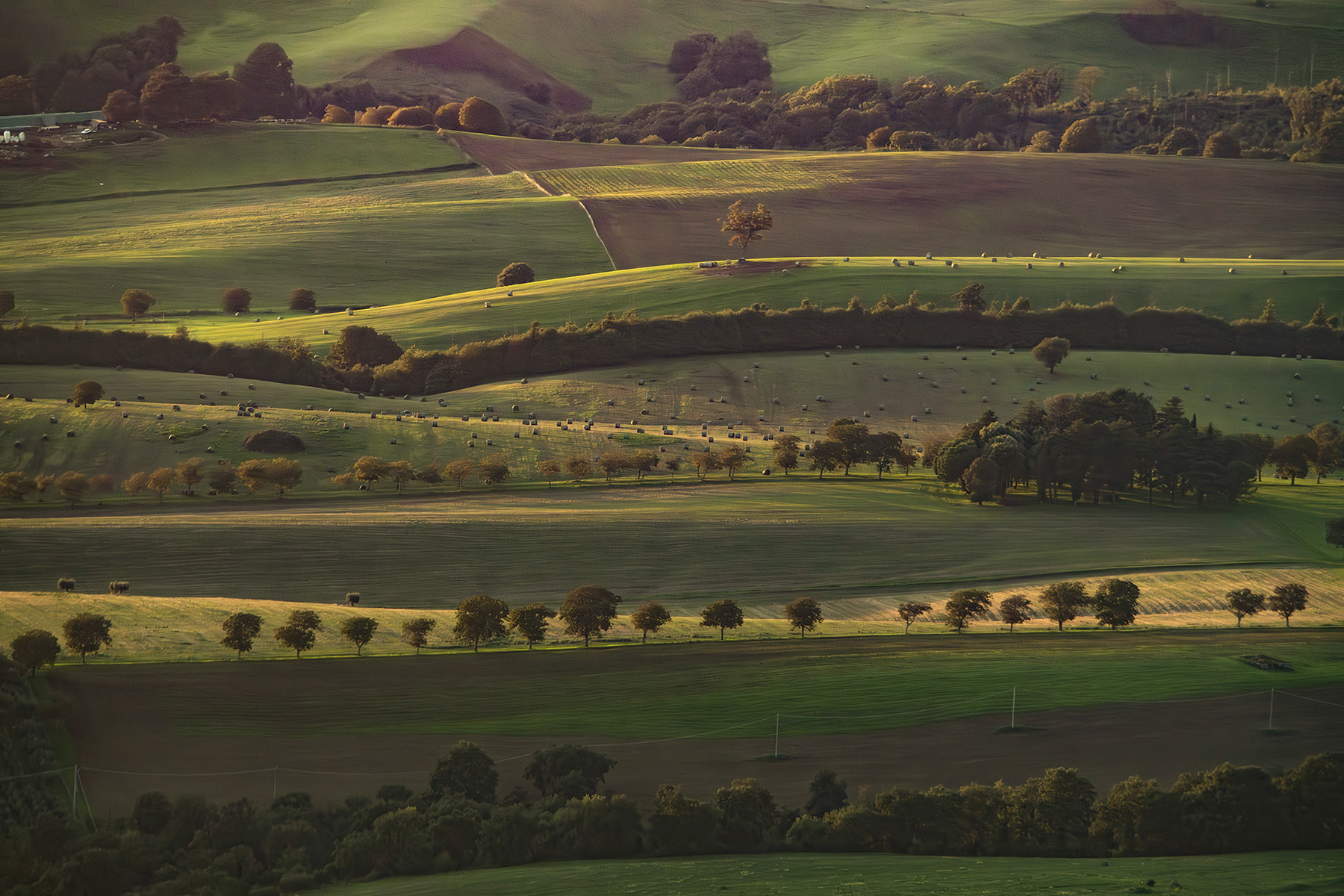 Da_RoccaMassima_LT_Ott2024_2