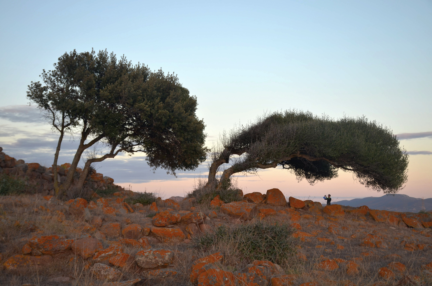 Dove soffia il maestrale