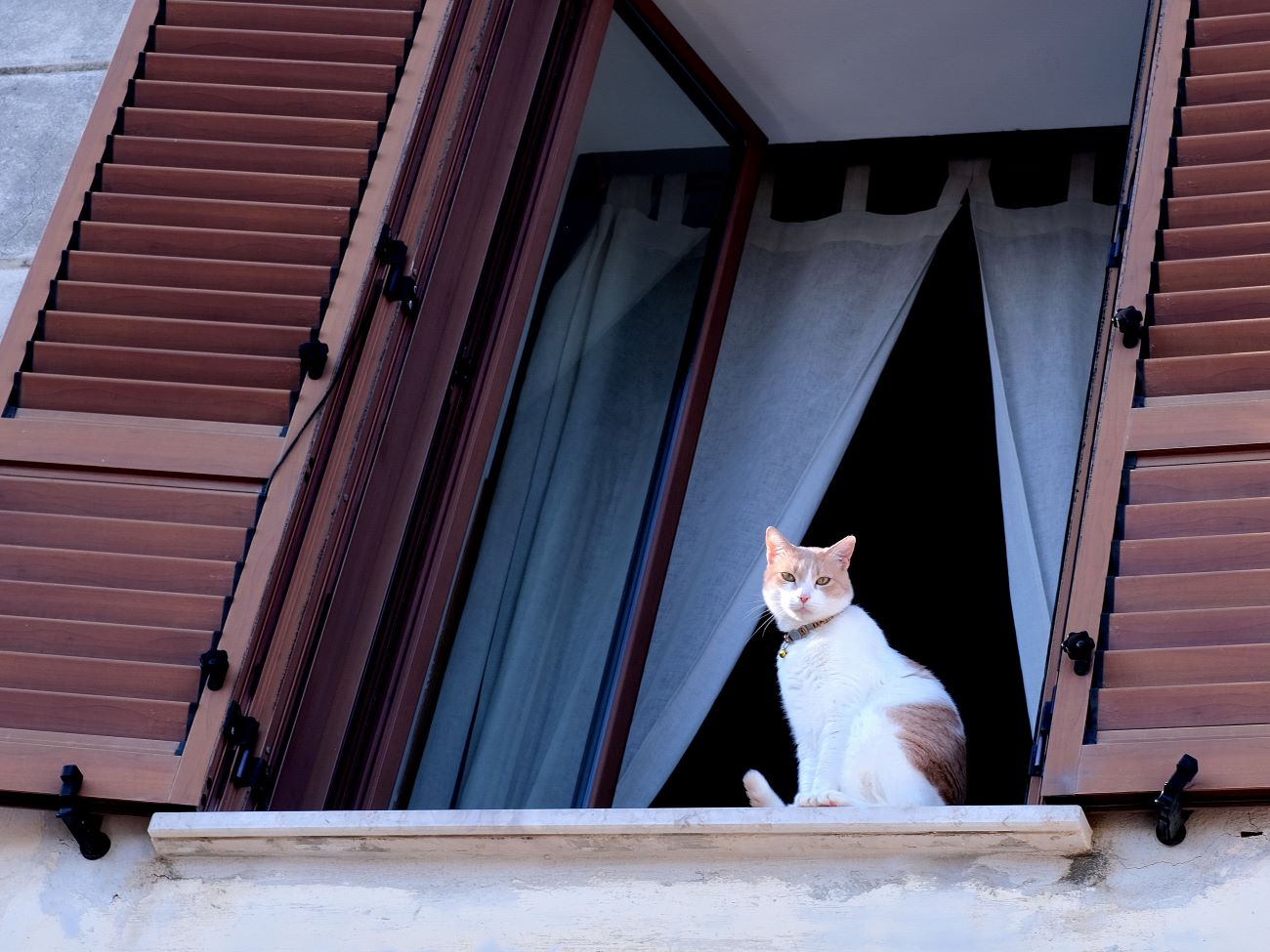 La finestra al primo piano