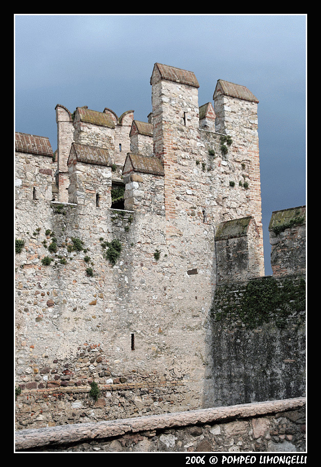 Merli nella Tempesta