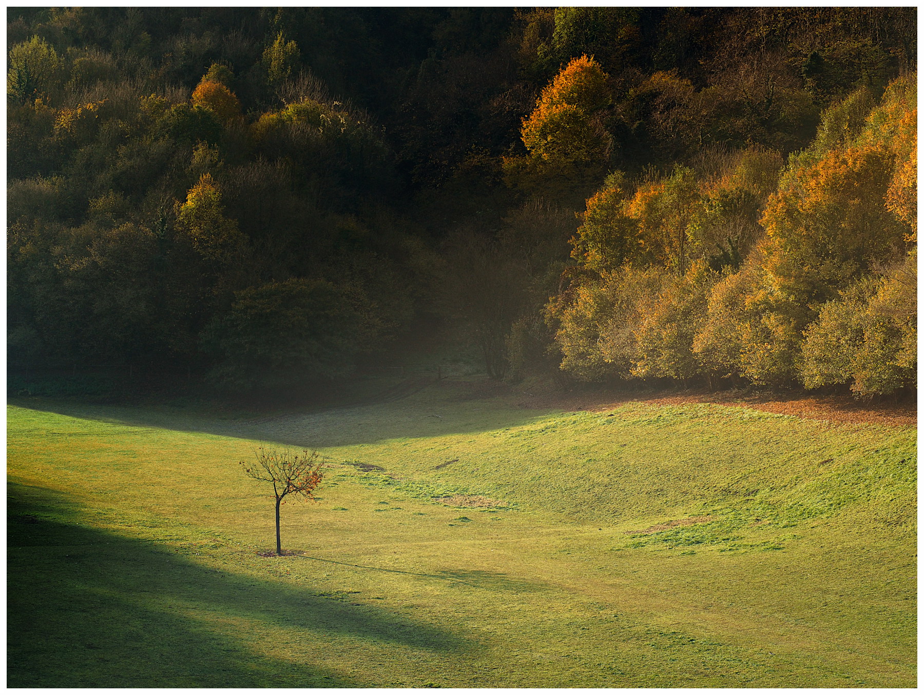 Autunno sui Colli Berici
