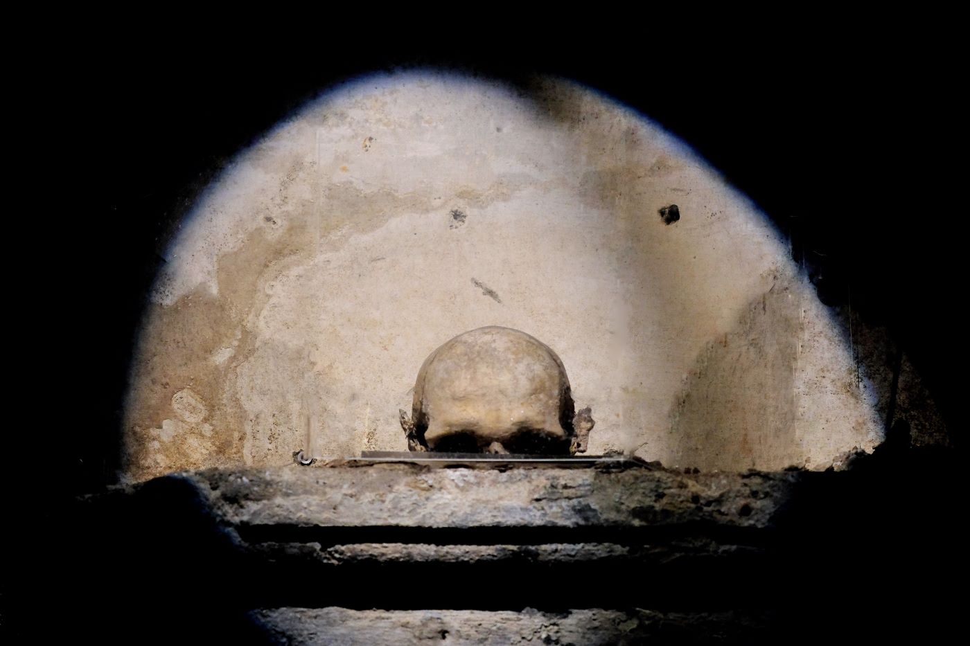 Il teschio con le orecchie