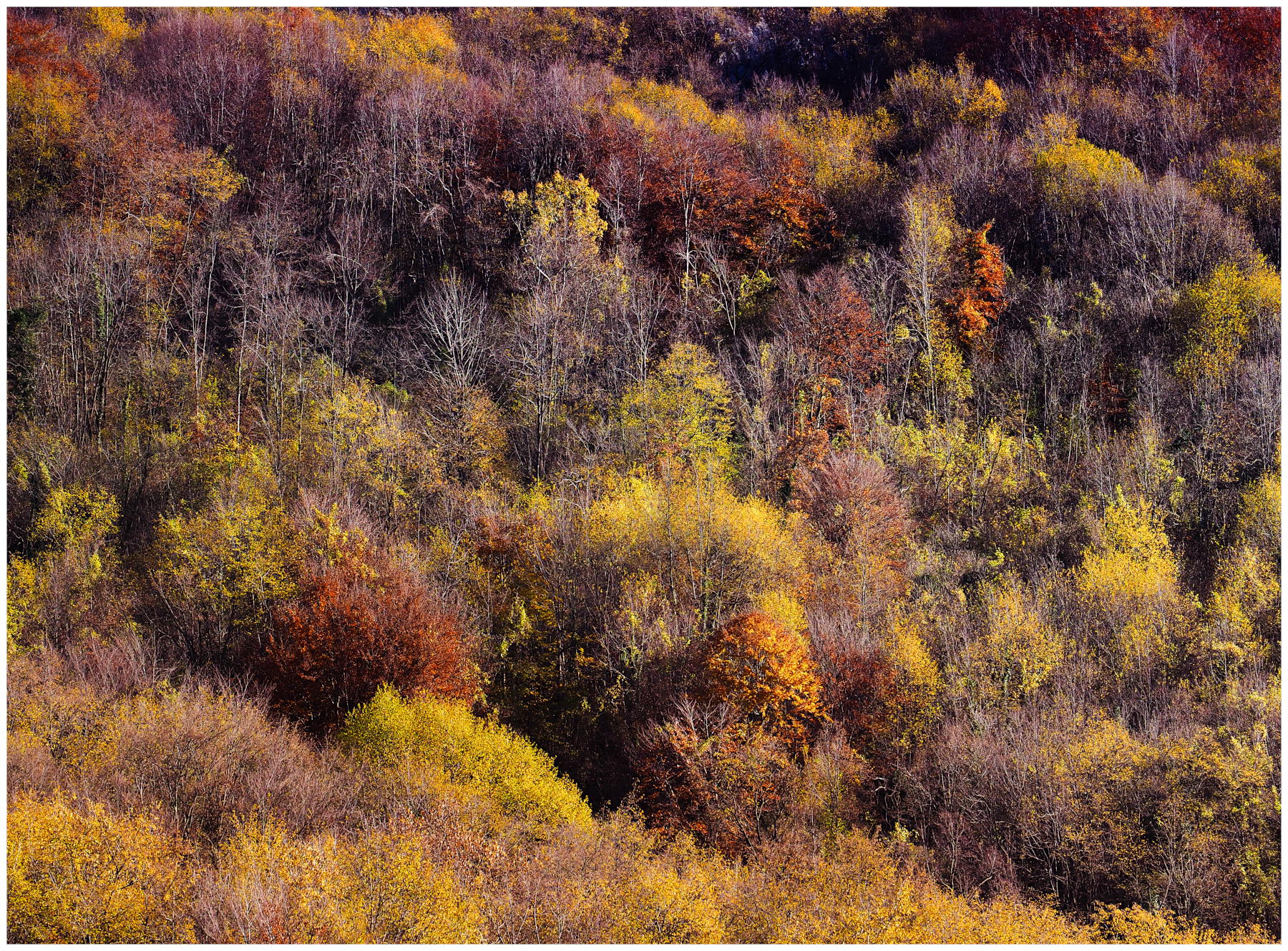 ultimi colpi d'autunno