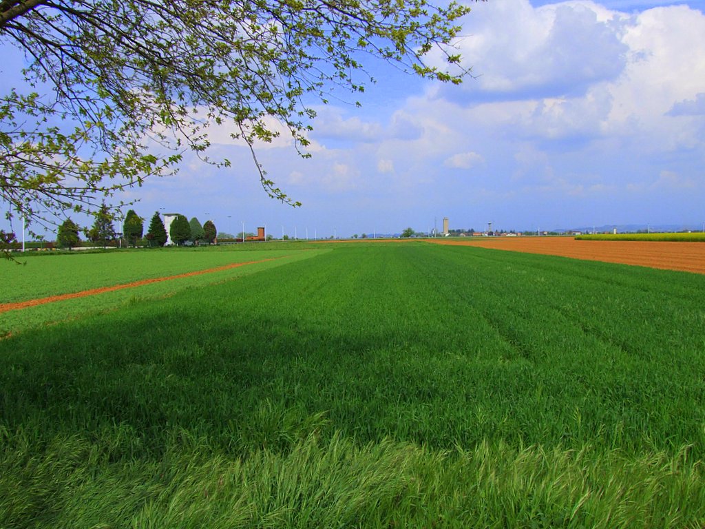 I colori della campagna.