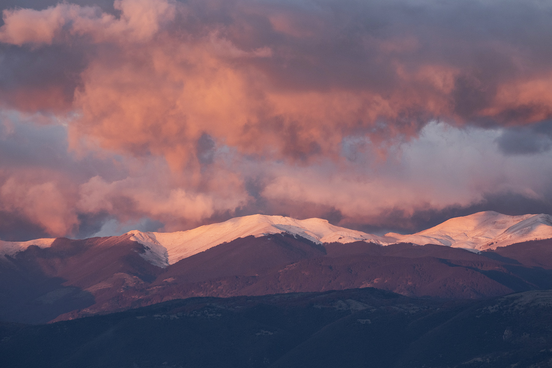 Quando_si_tinge_di_rosa_Nov2024_5