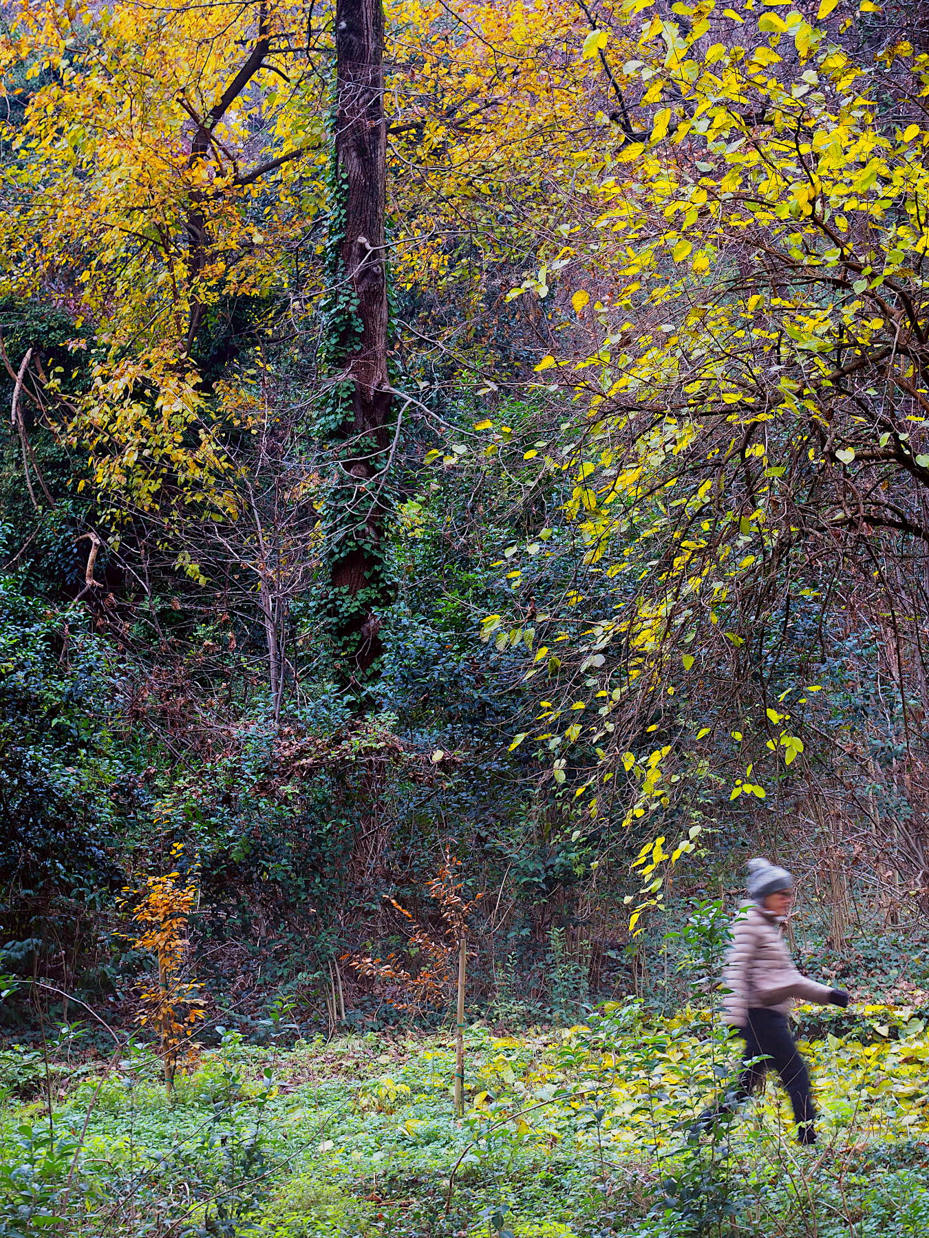 Camminata tra i colori