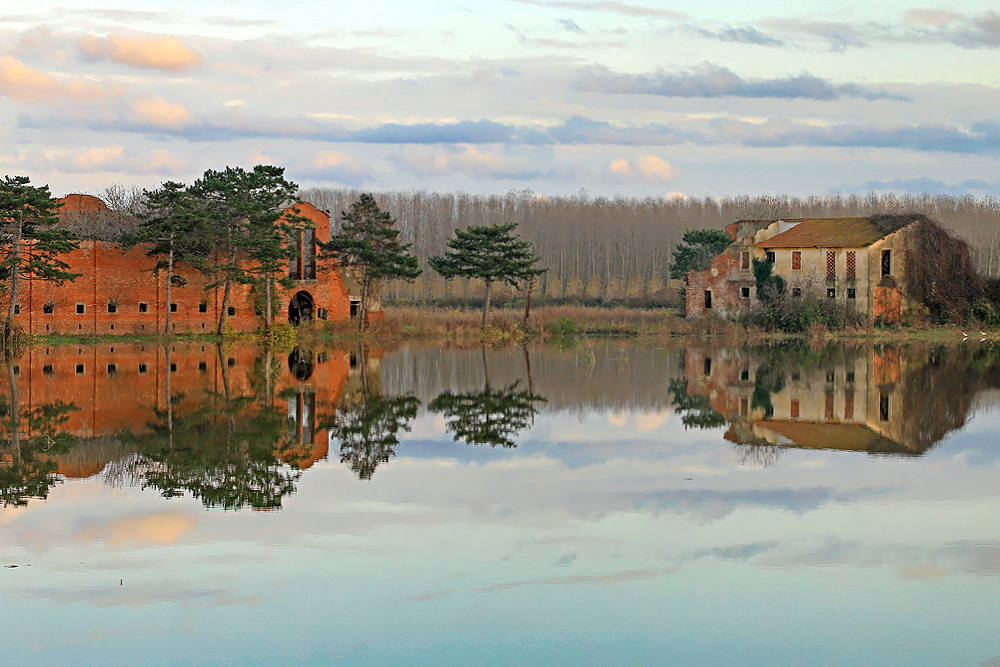 Tabaccheria in Padule