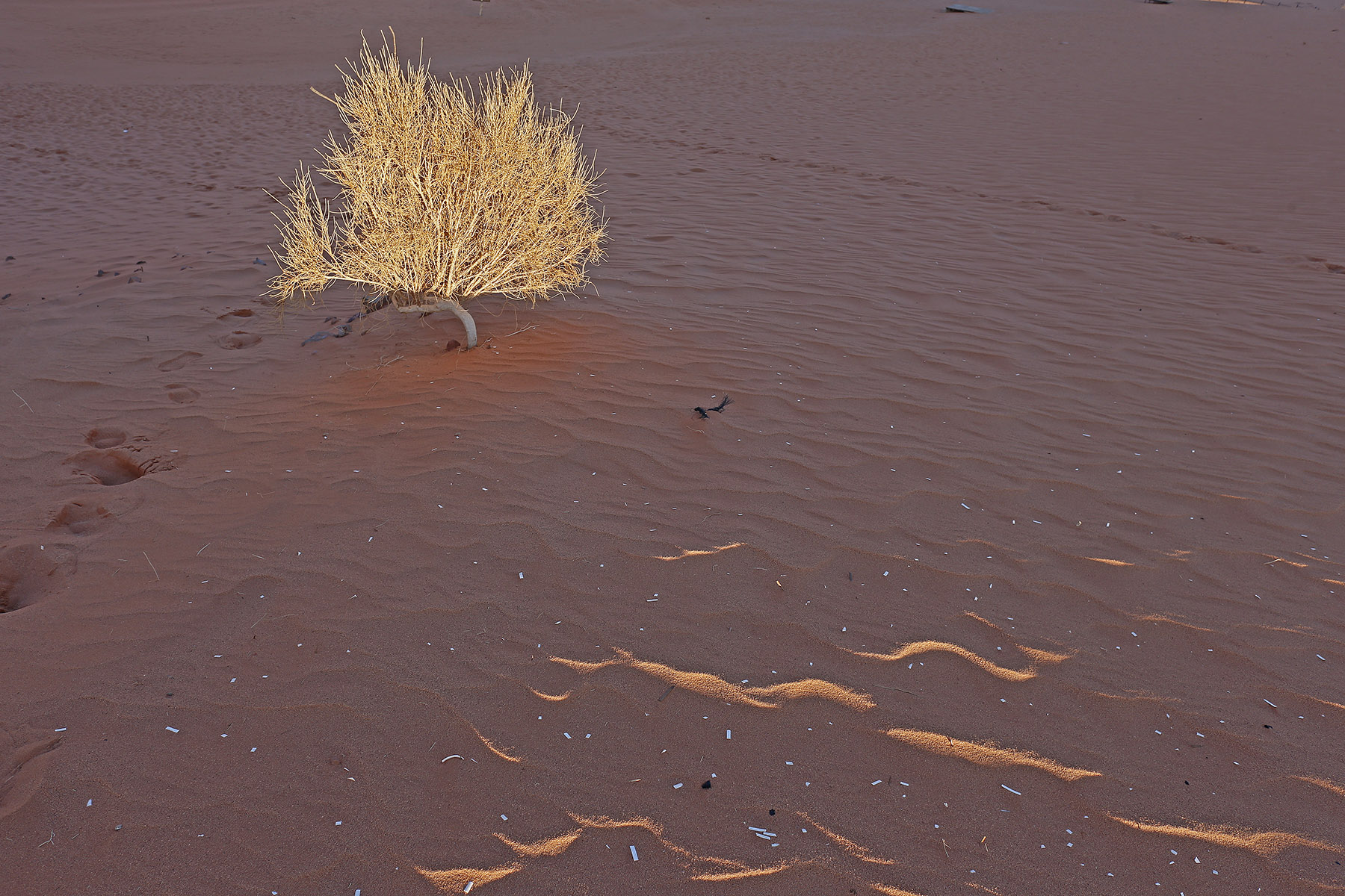 la luce del  Wadi Rum