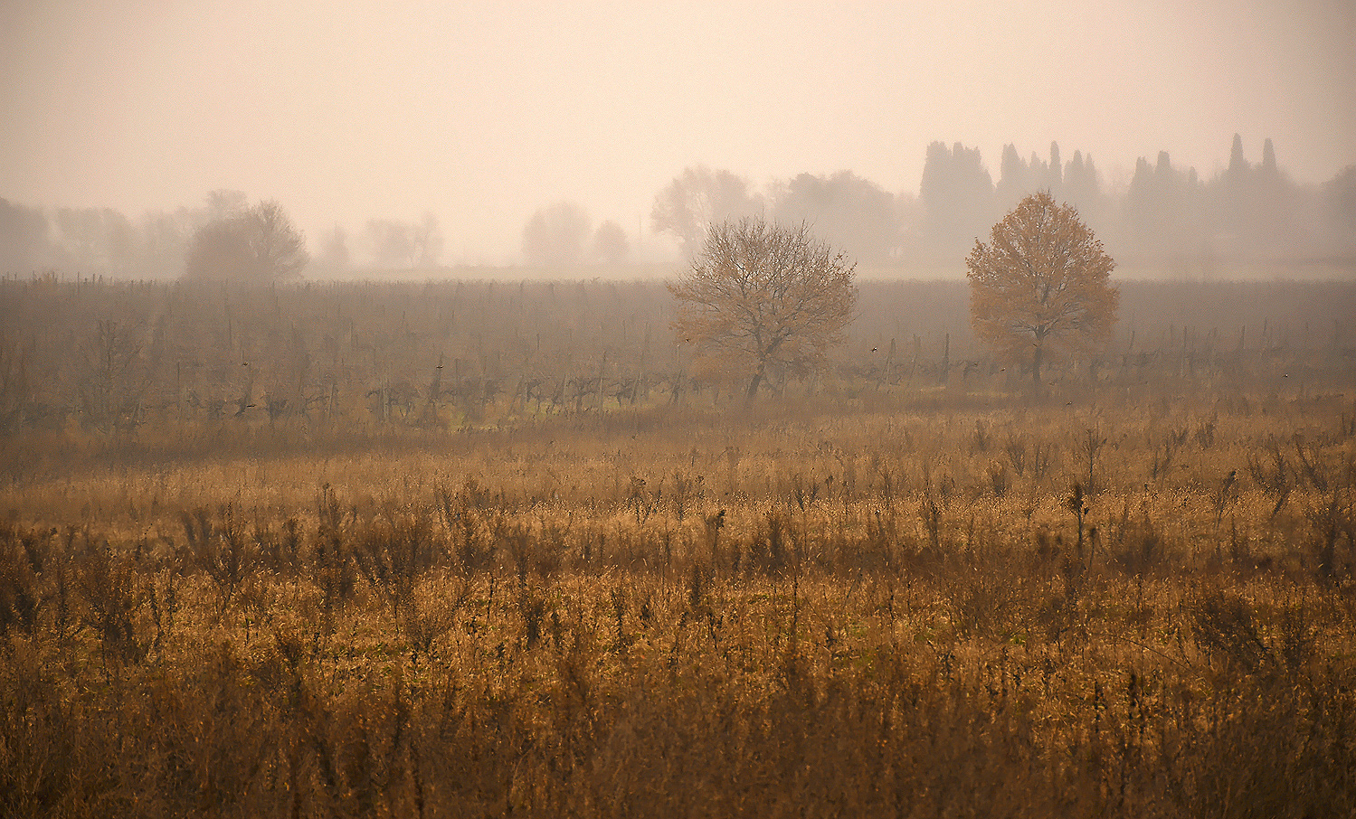 Verso Monte San Savino