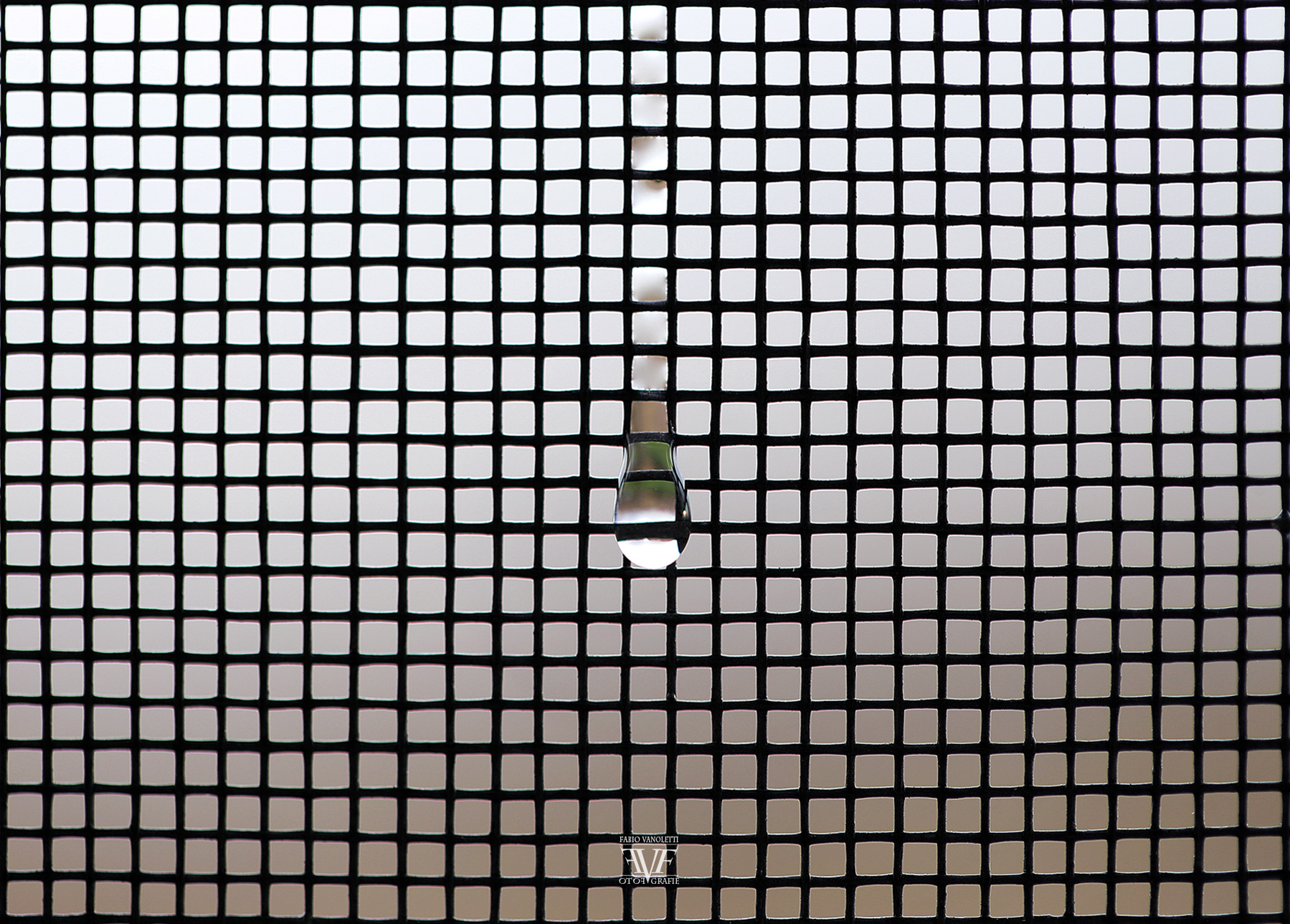 ::: L A C R I M A :::