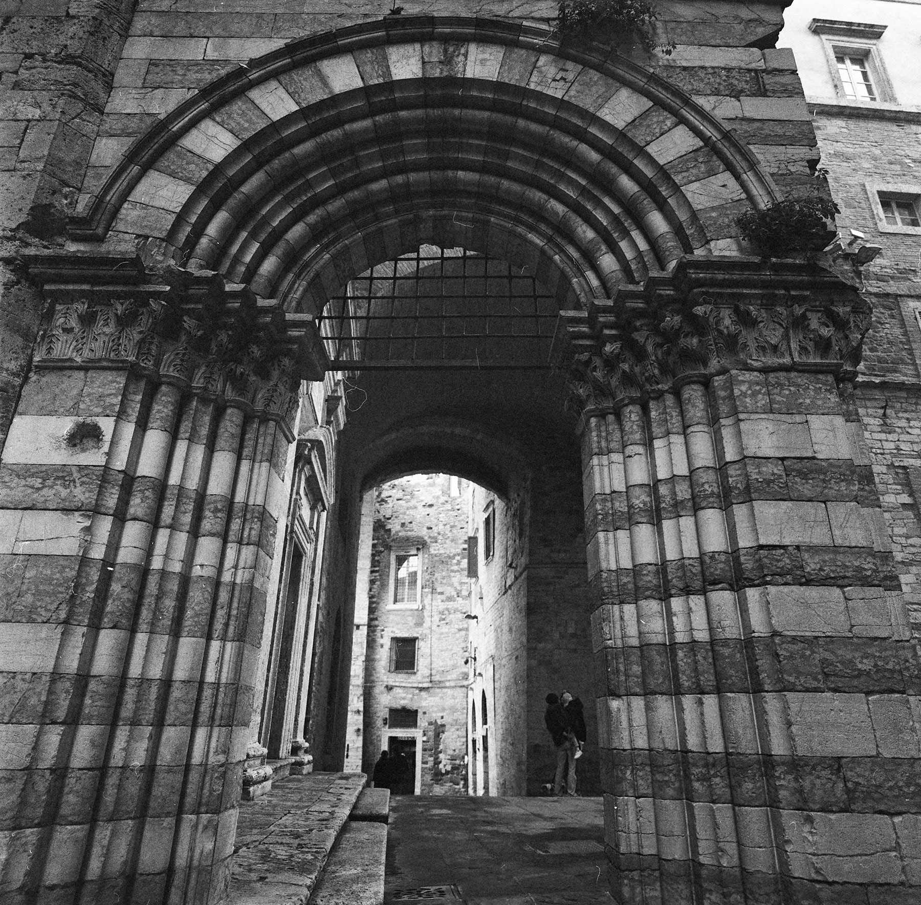 Rullino 1 1/2 2025: Maest� delle Volte