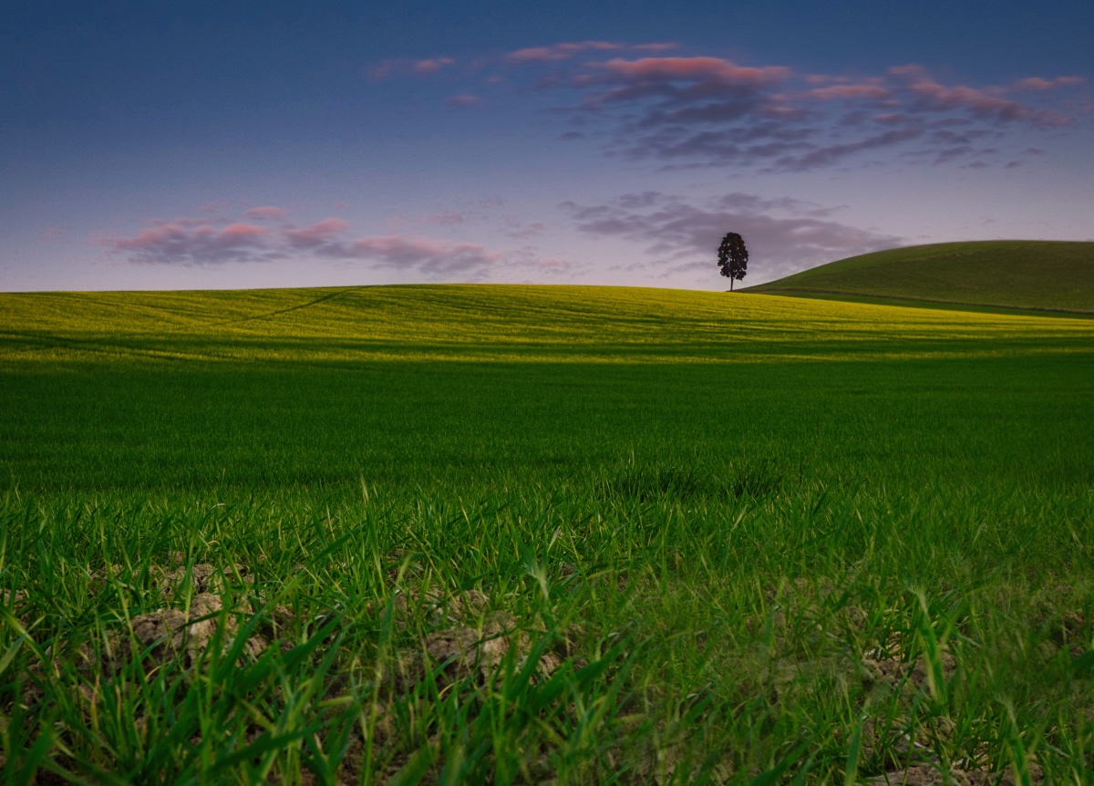 Libera dagli eccessi