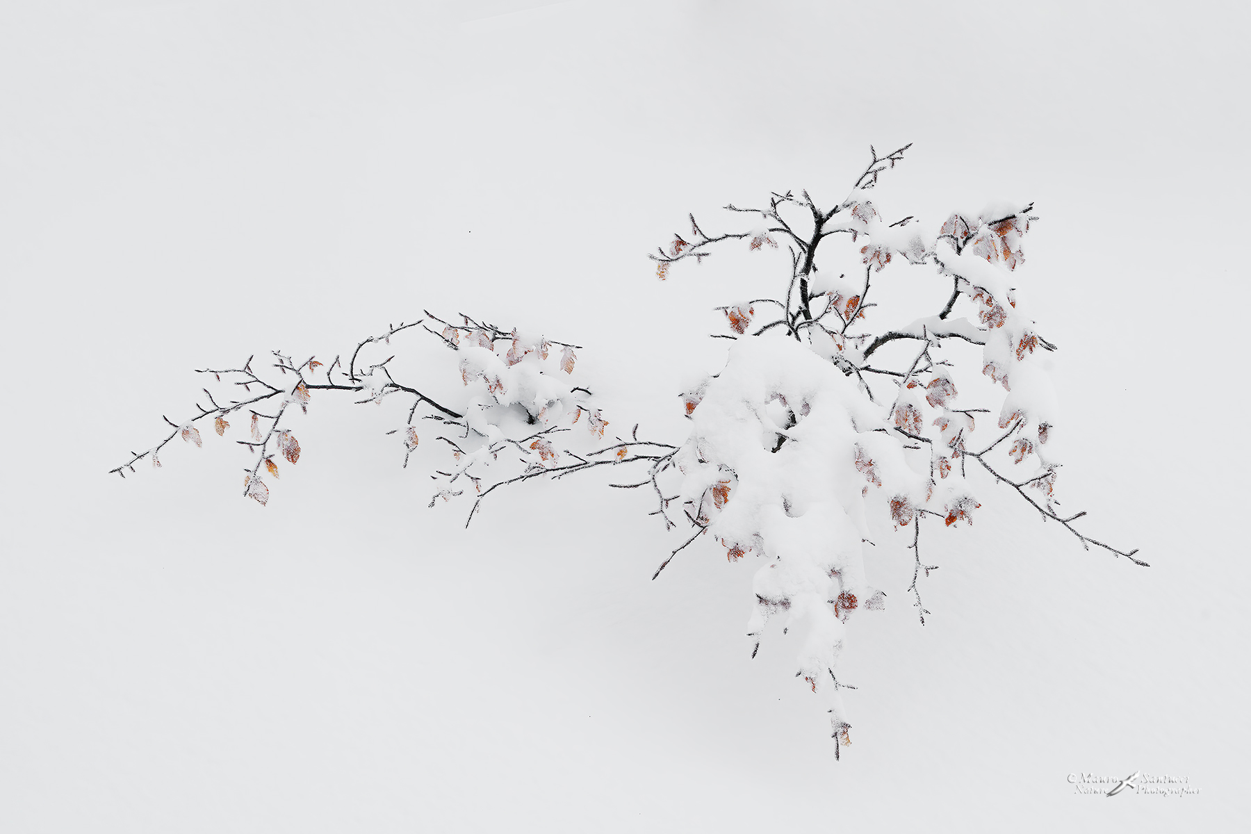 Non-solo-bianco_DSC02618