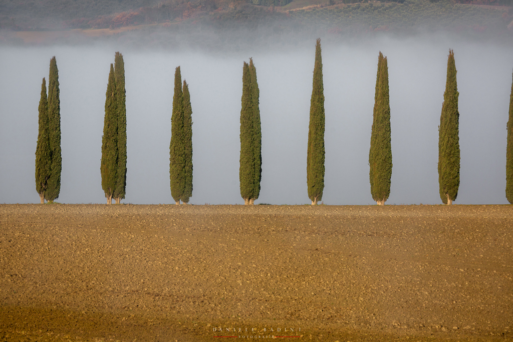 attirano sempre l'attenzione