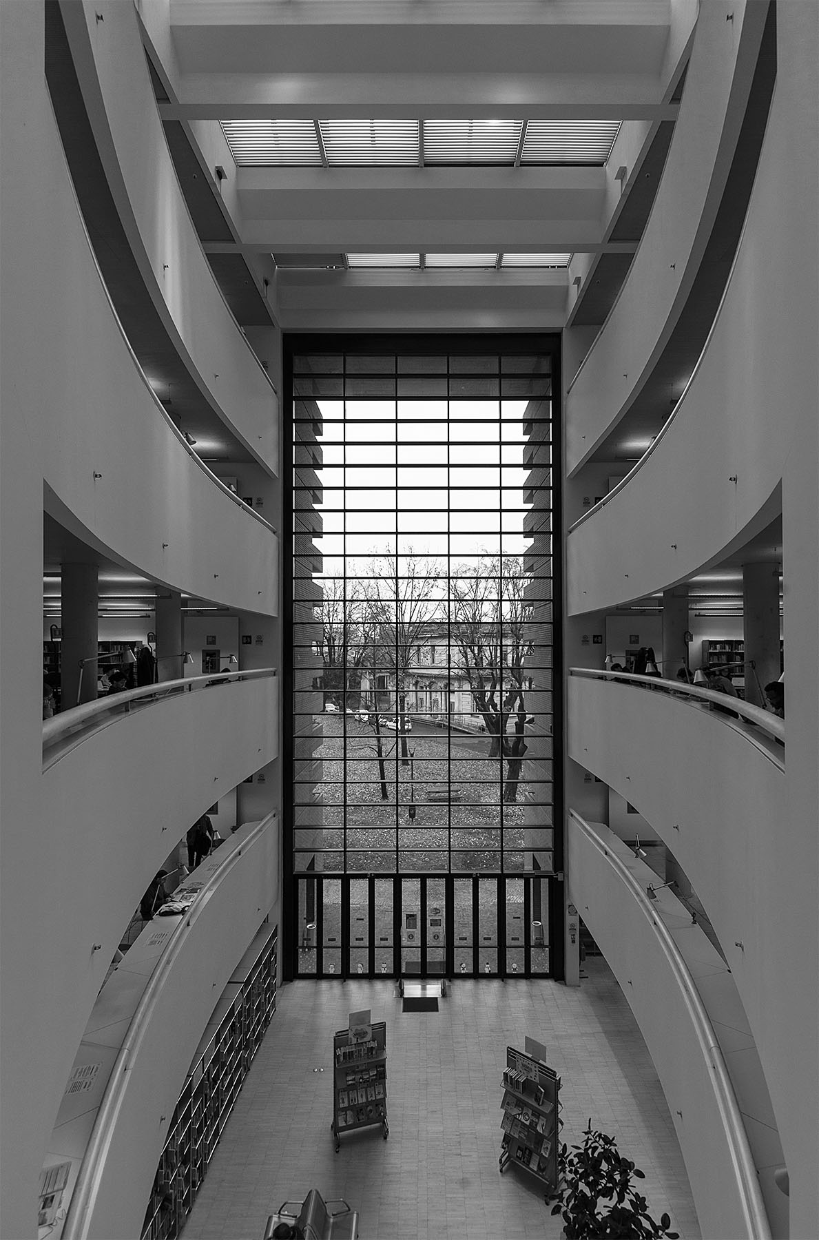 Biblioteca versione b/n