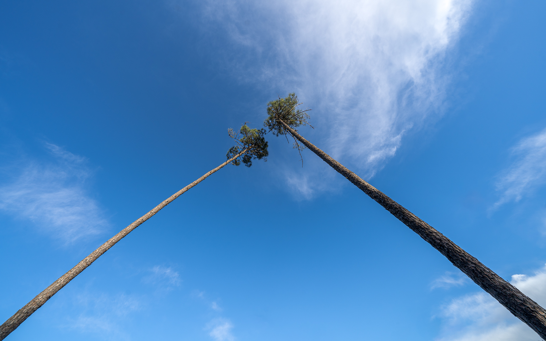 convergenze in cielo