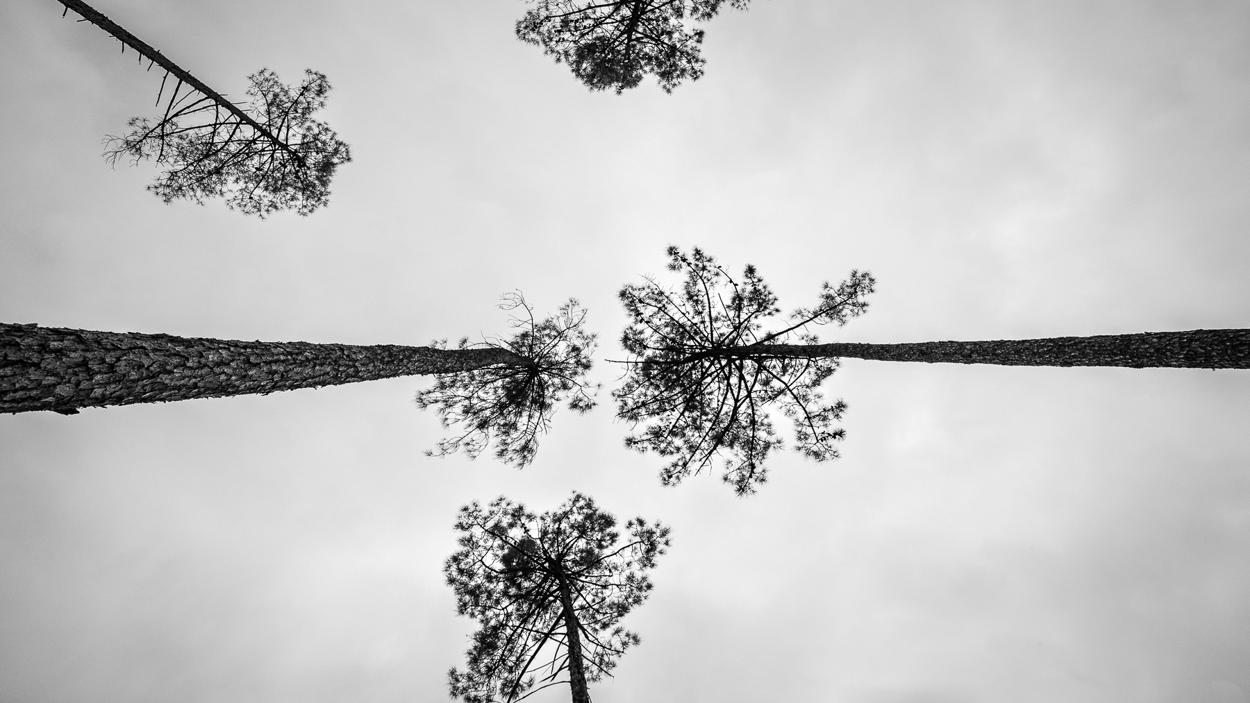 strani incroci sopra la mia testa