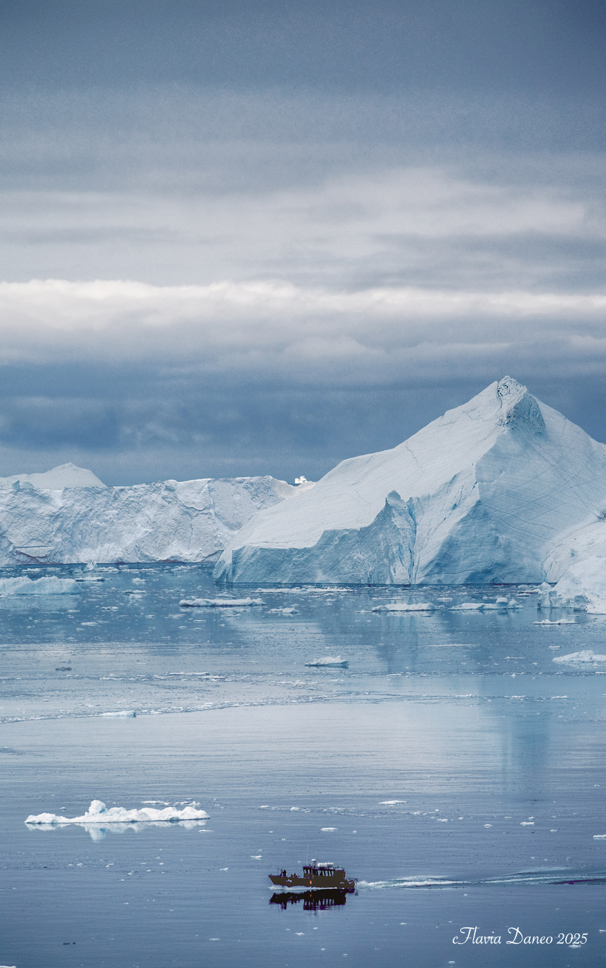 69� N (di Flavia Daneo)