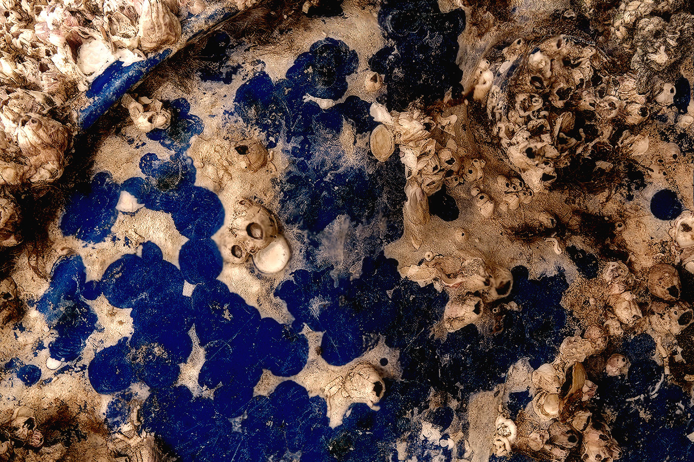 in un luogo non lontano