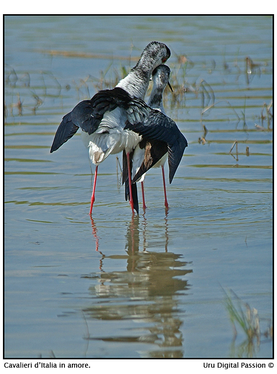 A te penser� io.....