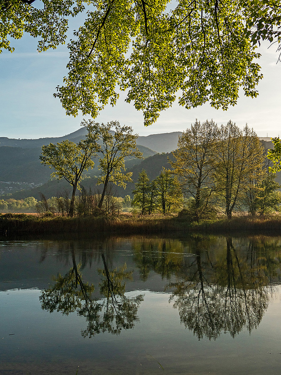 primavera sull'Adda