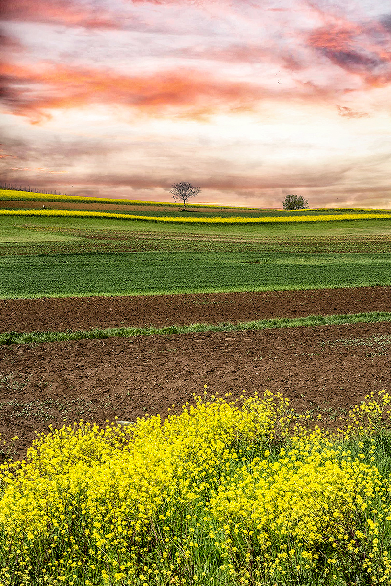 colori primaverili del Monferrato
