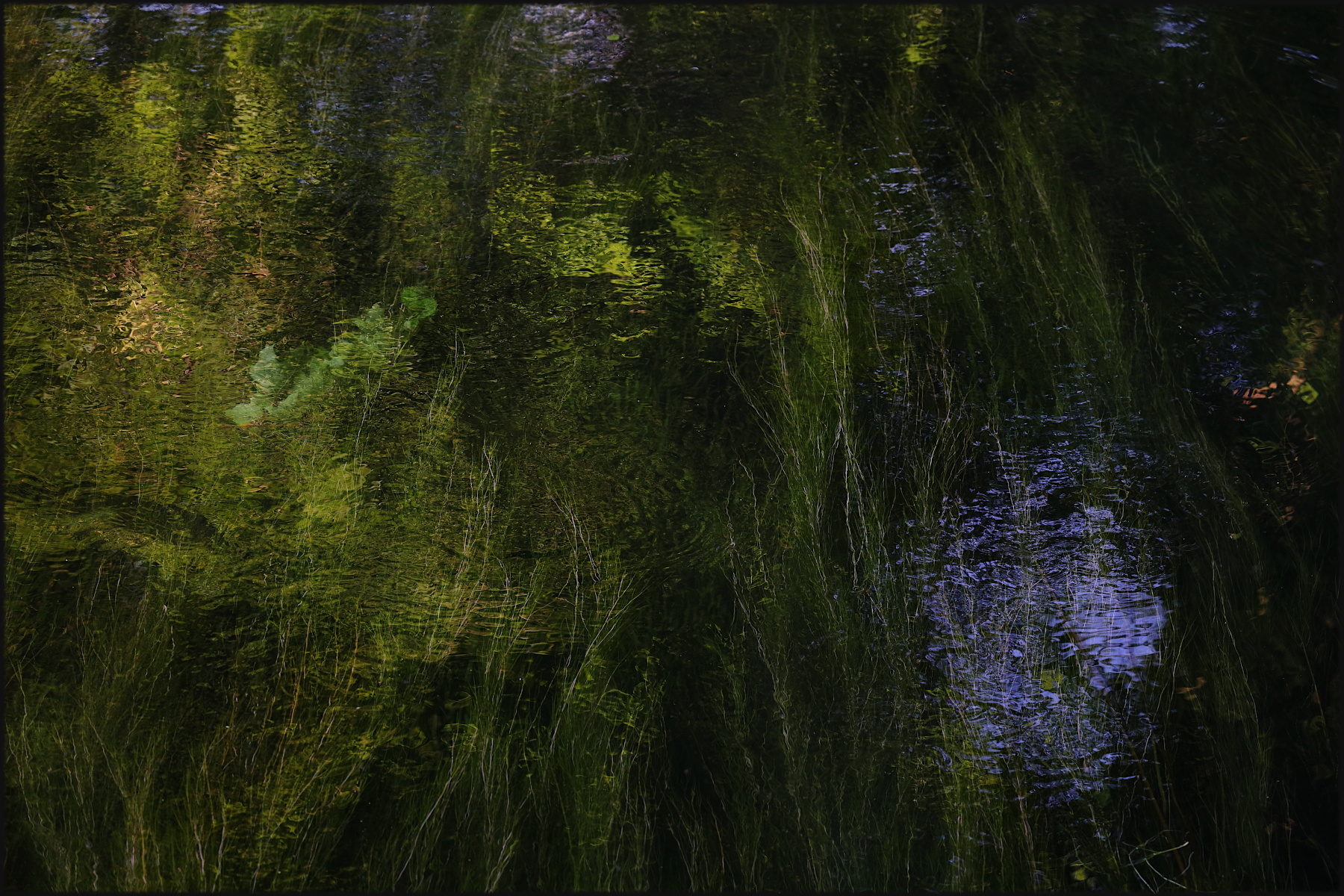 impressionismo nel fosso...