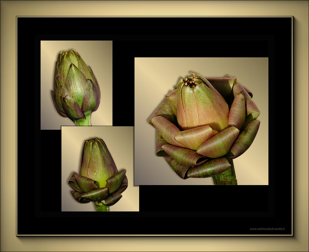 Il carciofo diventa fiore