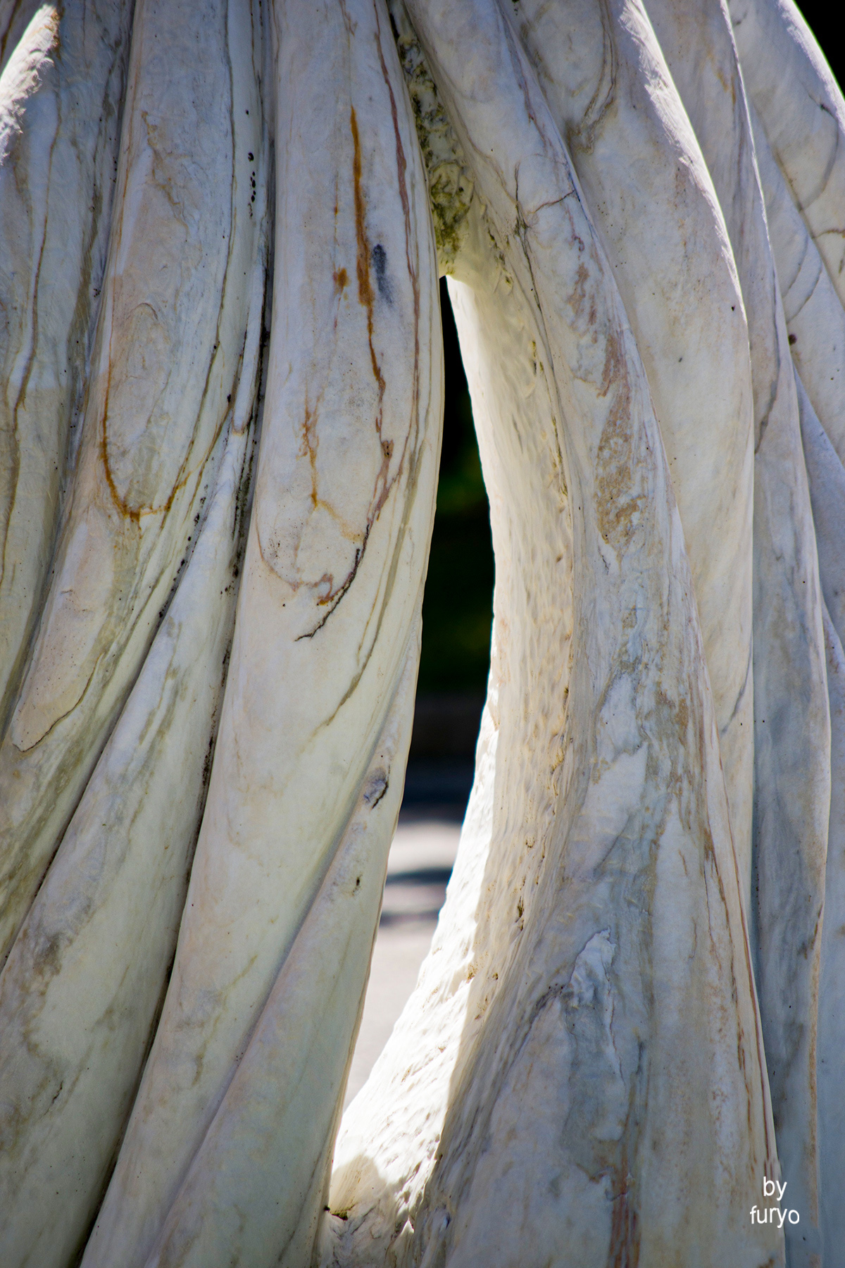 come le vele al vento