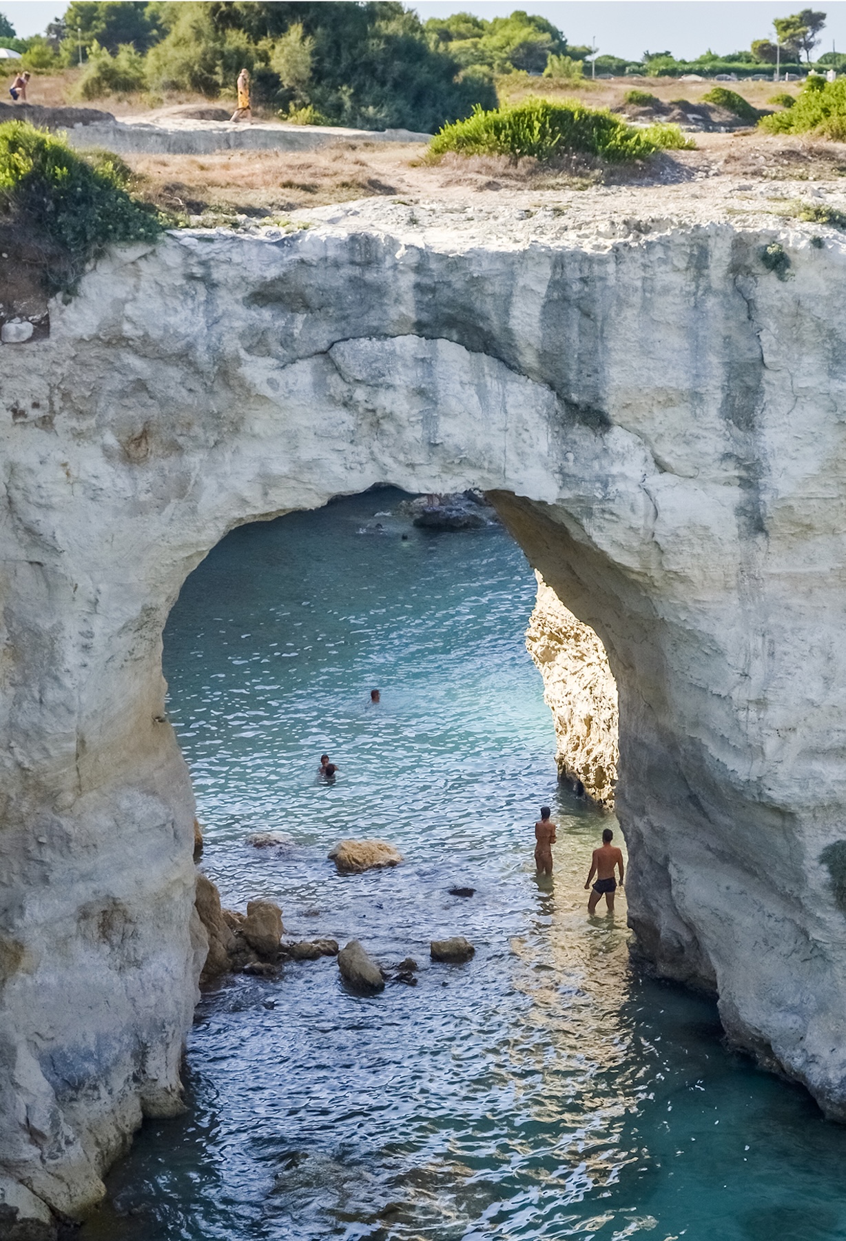primo piano, cantina