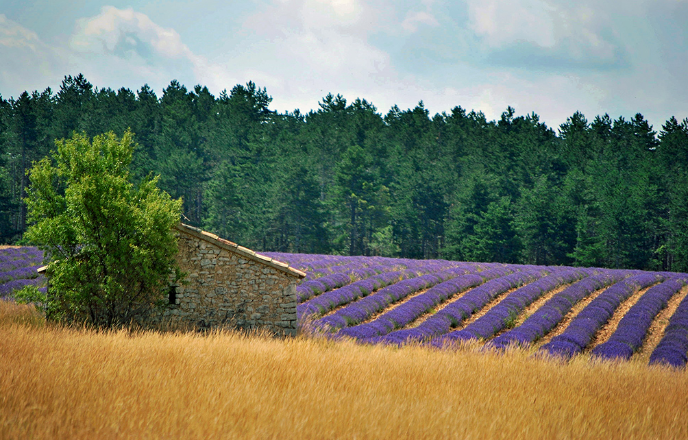I colori dell'alta Provenza