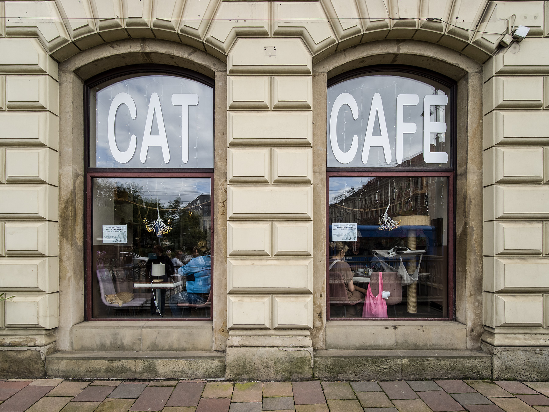 CAT CAFE