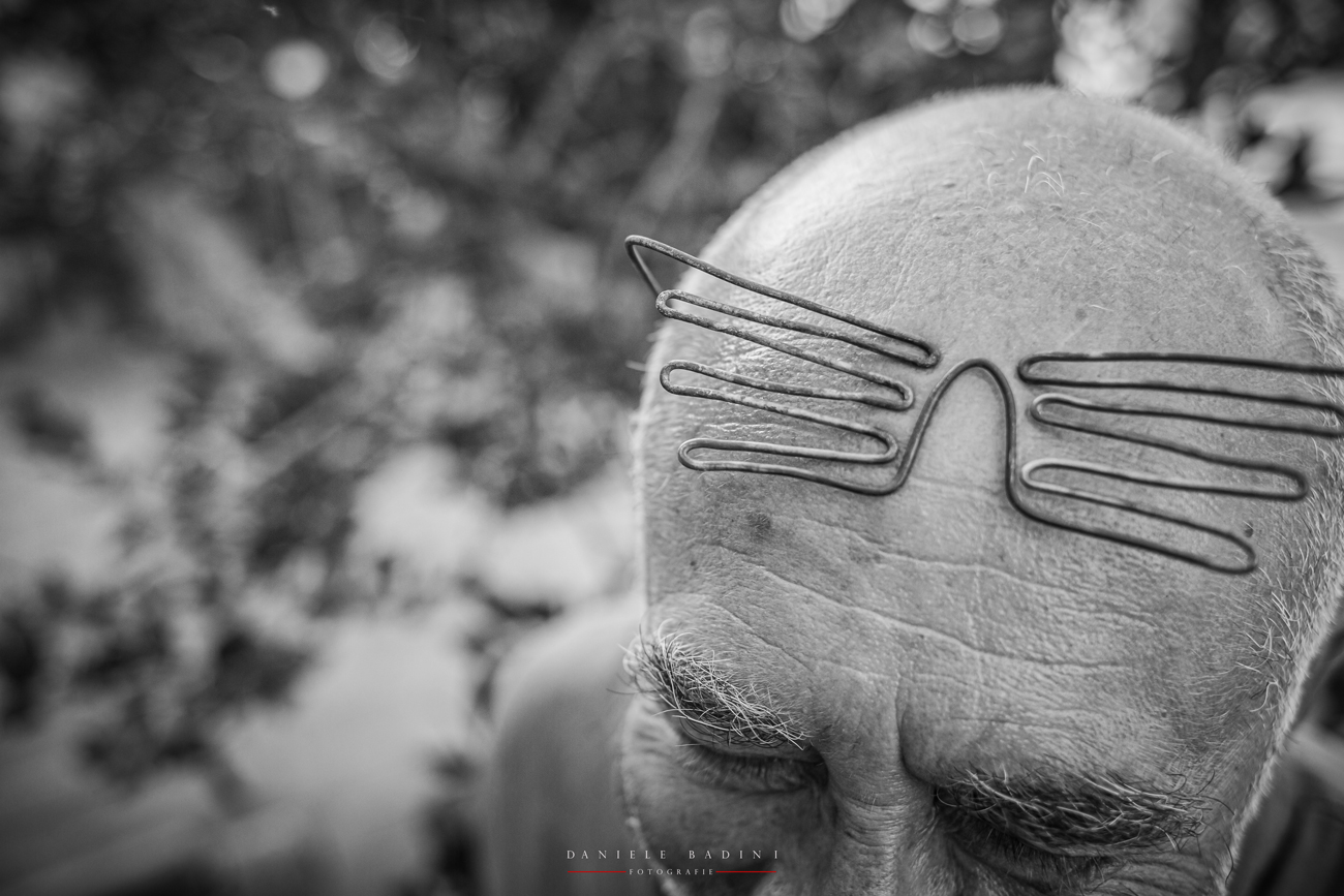 ..ma che occhiali sono?