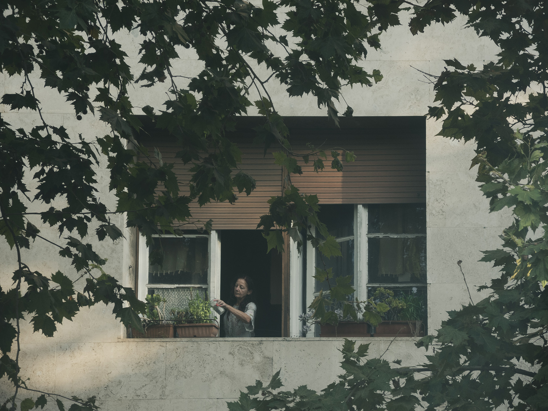 Visioni_Immediate_10Lug2025_7