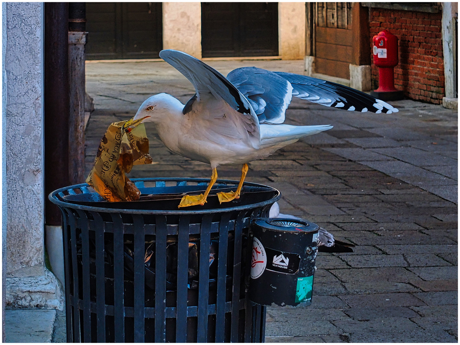 .....ristorante open 24