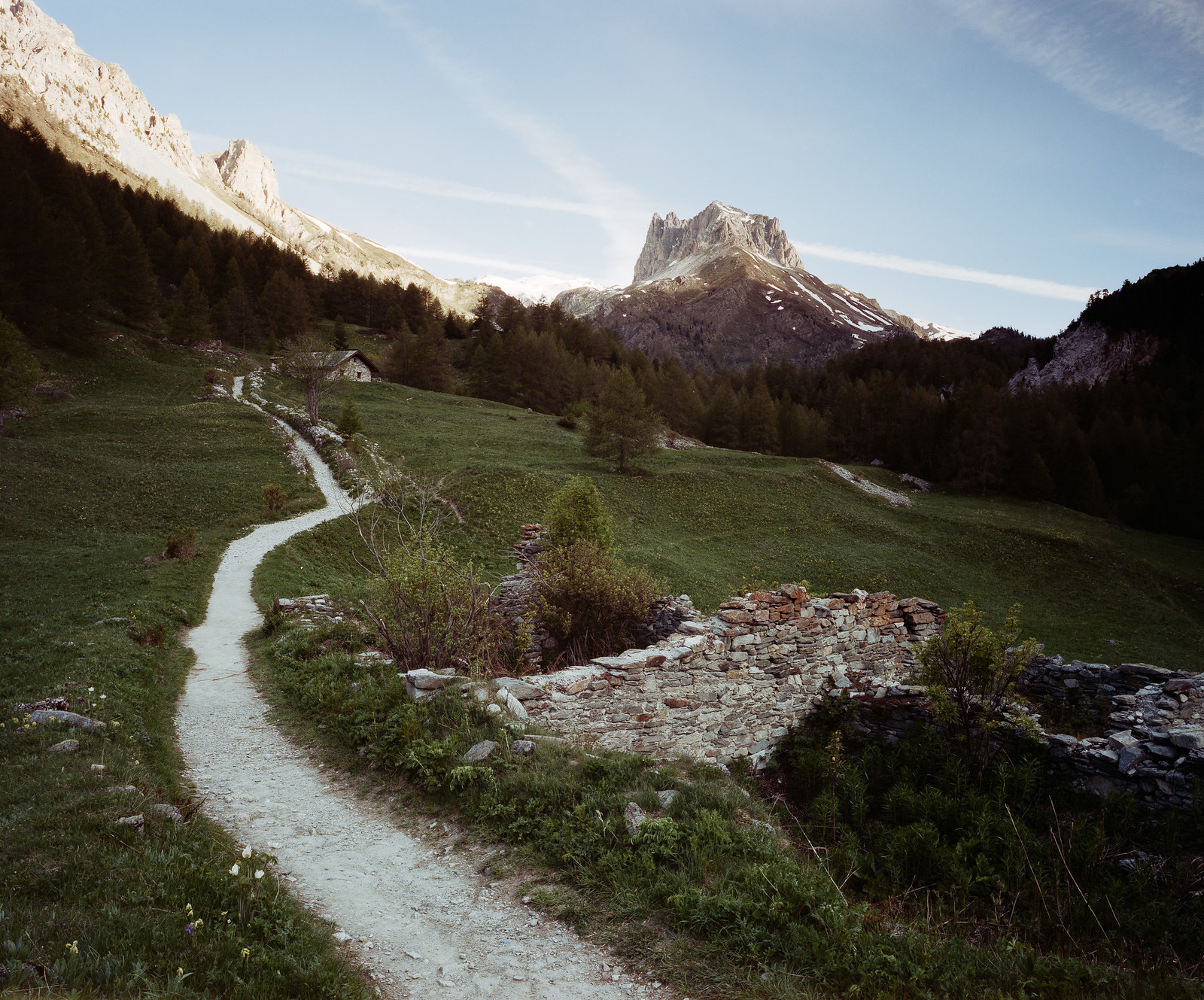 Intrepid 4x5 | Cinestill 400D