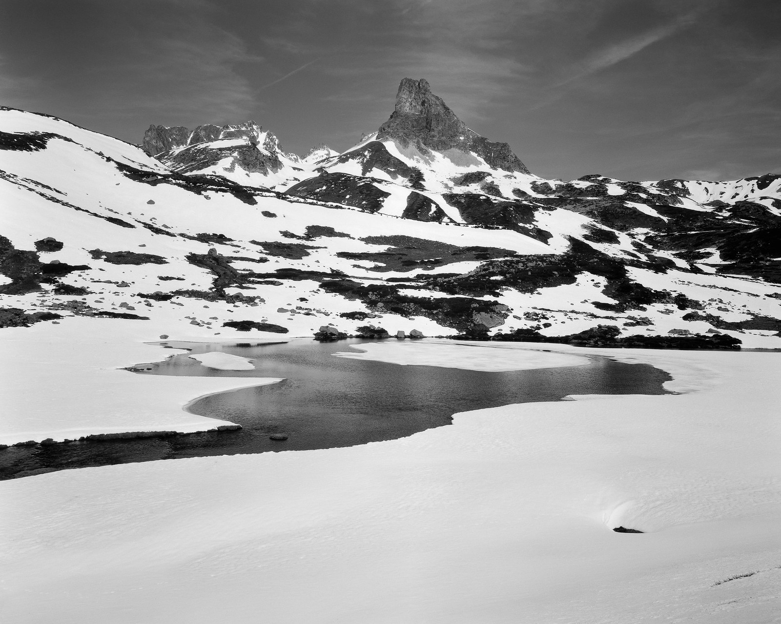 Intrepid 4x5 | Fomapan 100