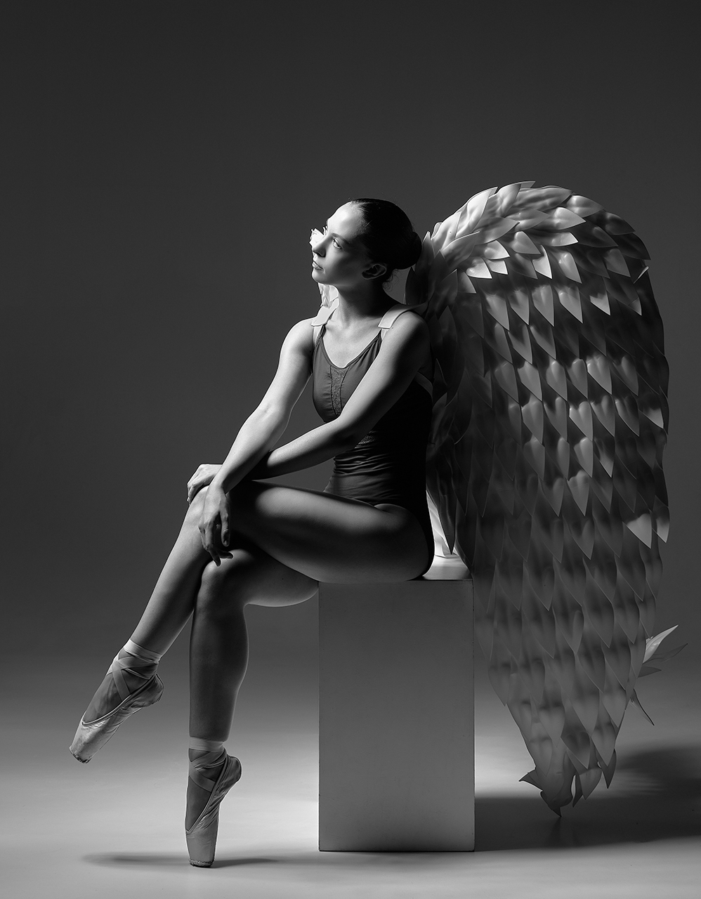 Cherubino contemplativo