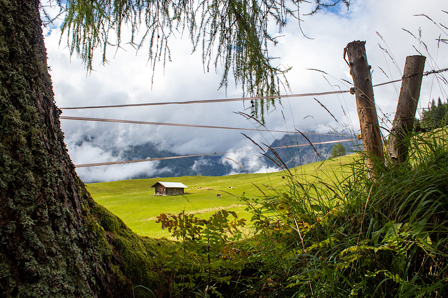 Prati Col - San Martino di C.