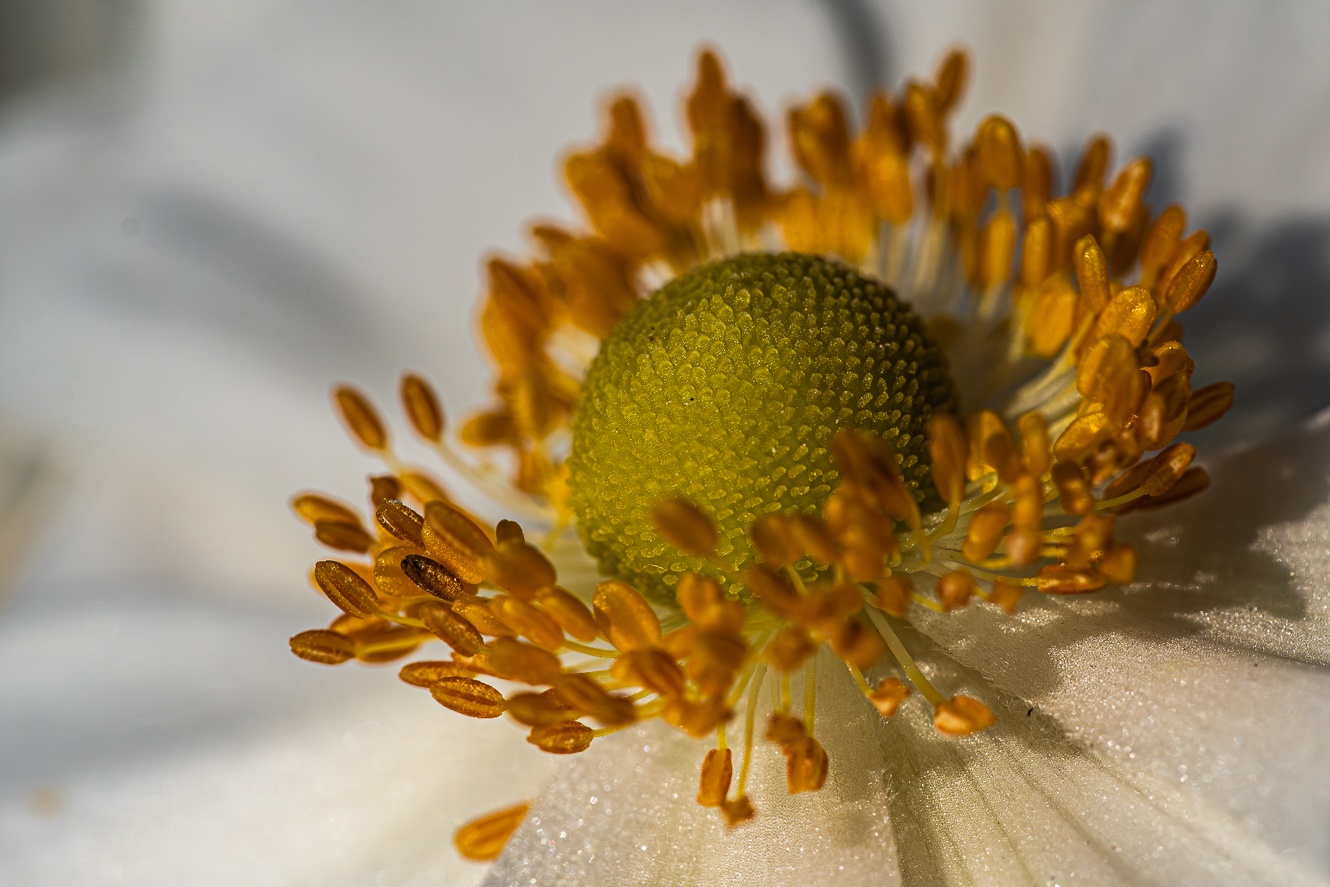 lo ammetto: mi perdo nei dettagli