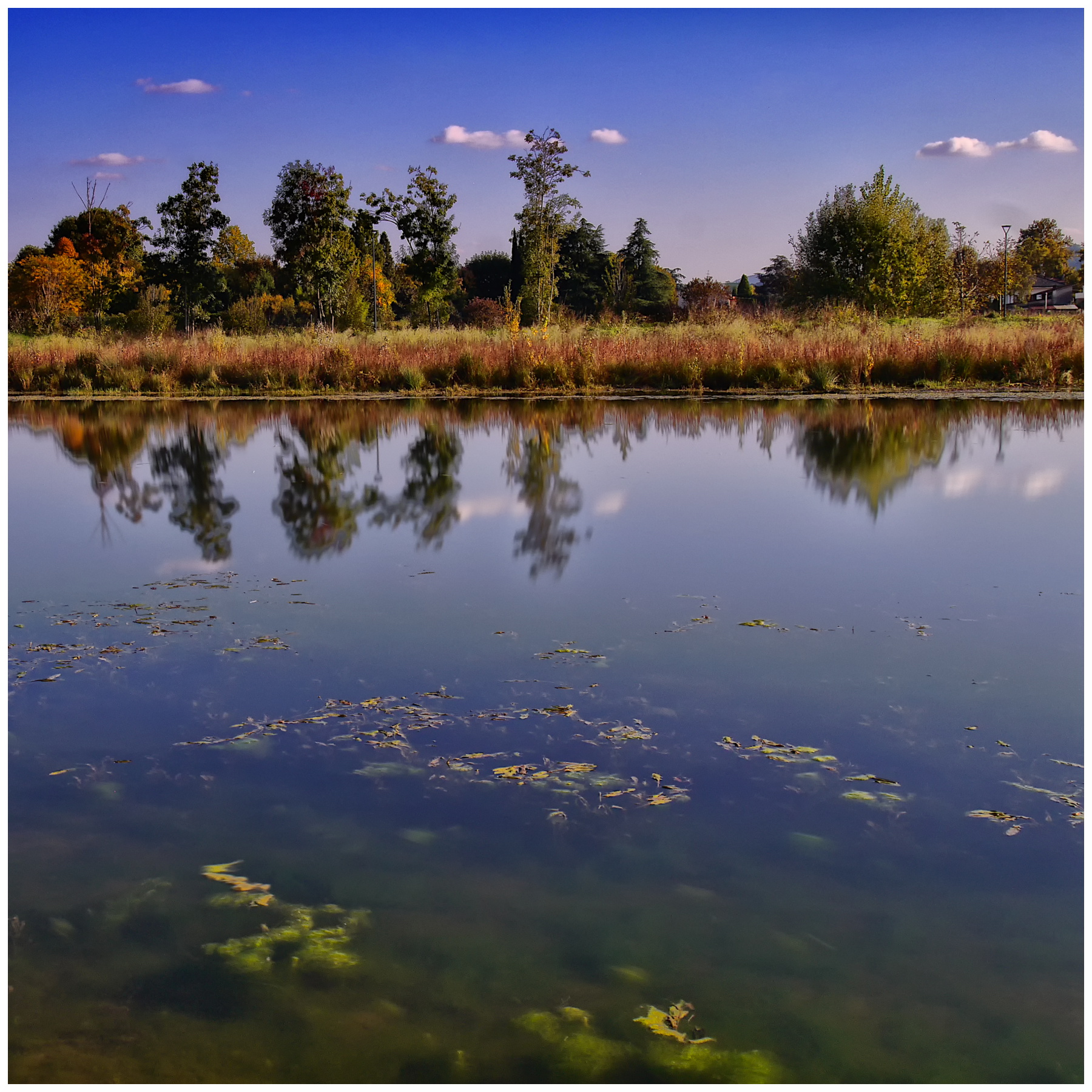 Al 'Parco della Pace'